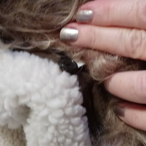 Hollister Sherpa lined Jacket - Picture 10 of 12